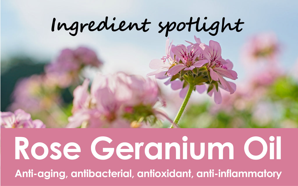 The Benefits of Rose Geranium Oil