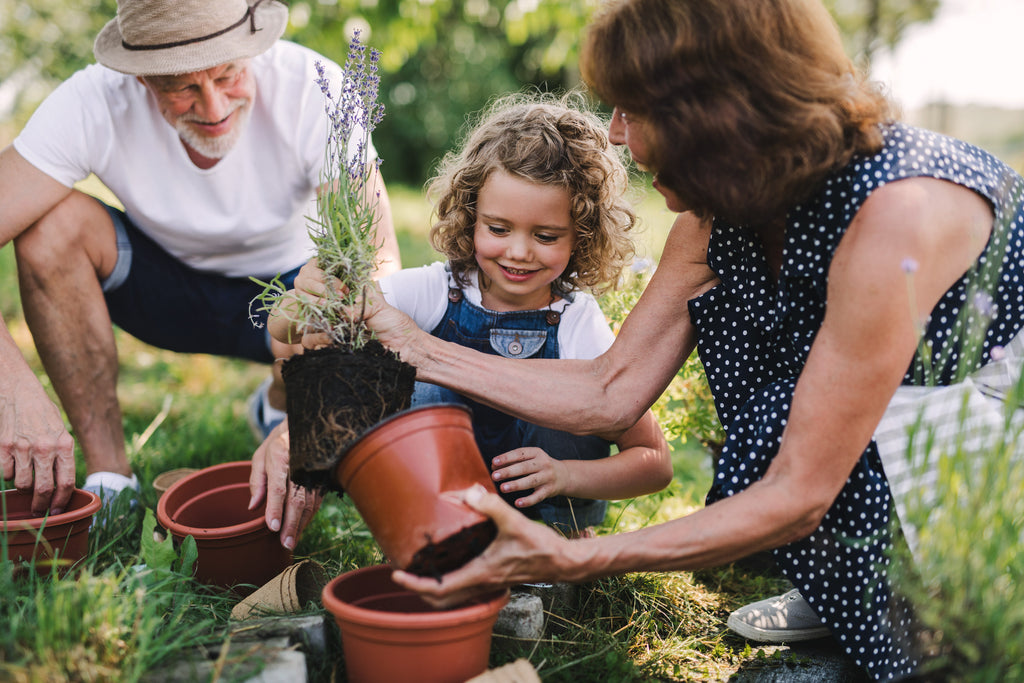 Gardening as a family activity