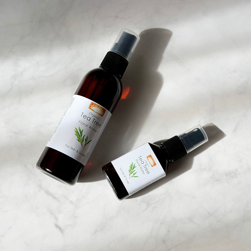 Organic Tea Tree Hydrosol Spray | Tea Tree Floral Water